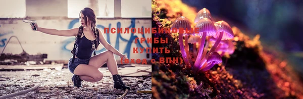 сатива Абаза