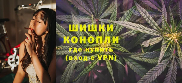 сатива Абаза