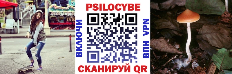 что такое   Энем  Псилоцибиновые грибы Cubensis 